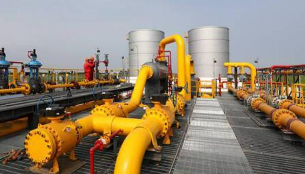 舌尖狂欢！开渔在即，茂名都有哪些海鲜值得吃？